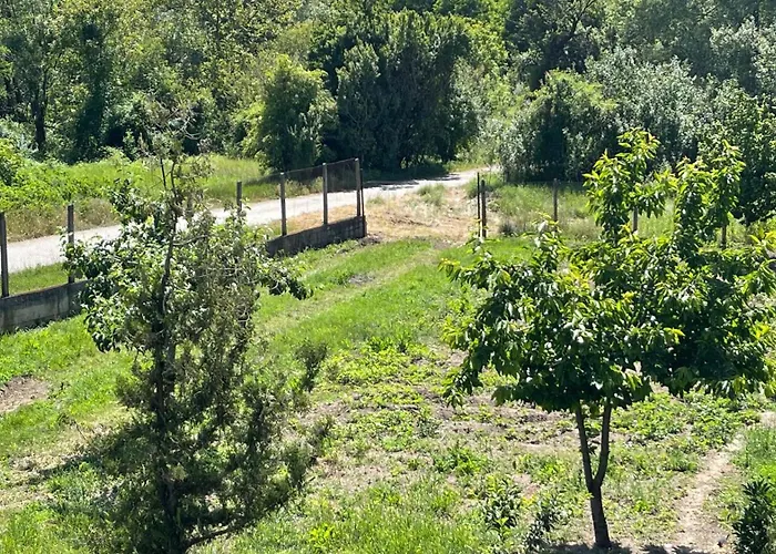 Edelvais1 еделвайс1